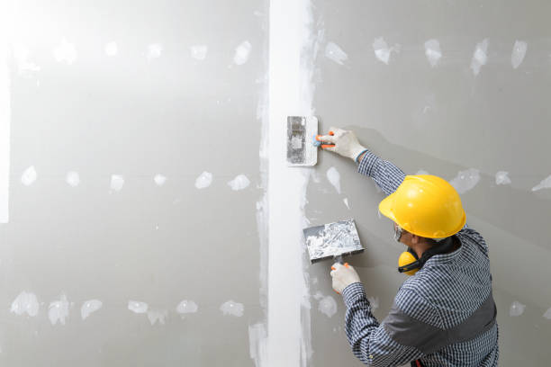  Greenfield, IL Mold Removal Pros