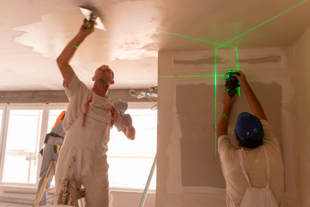 Best Forensic Mold Investigation  in Greenfield, IL